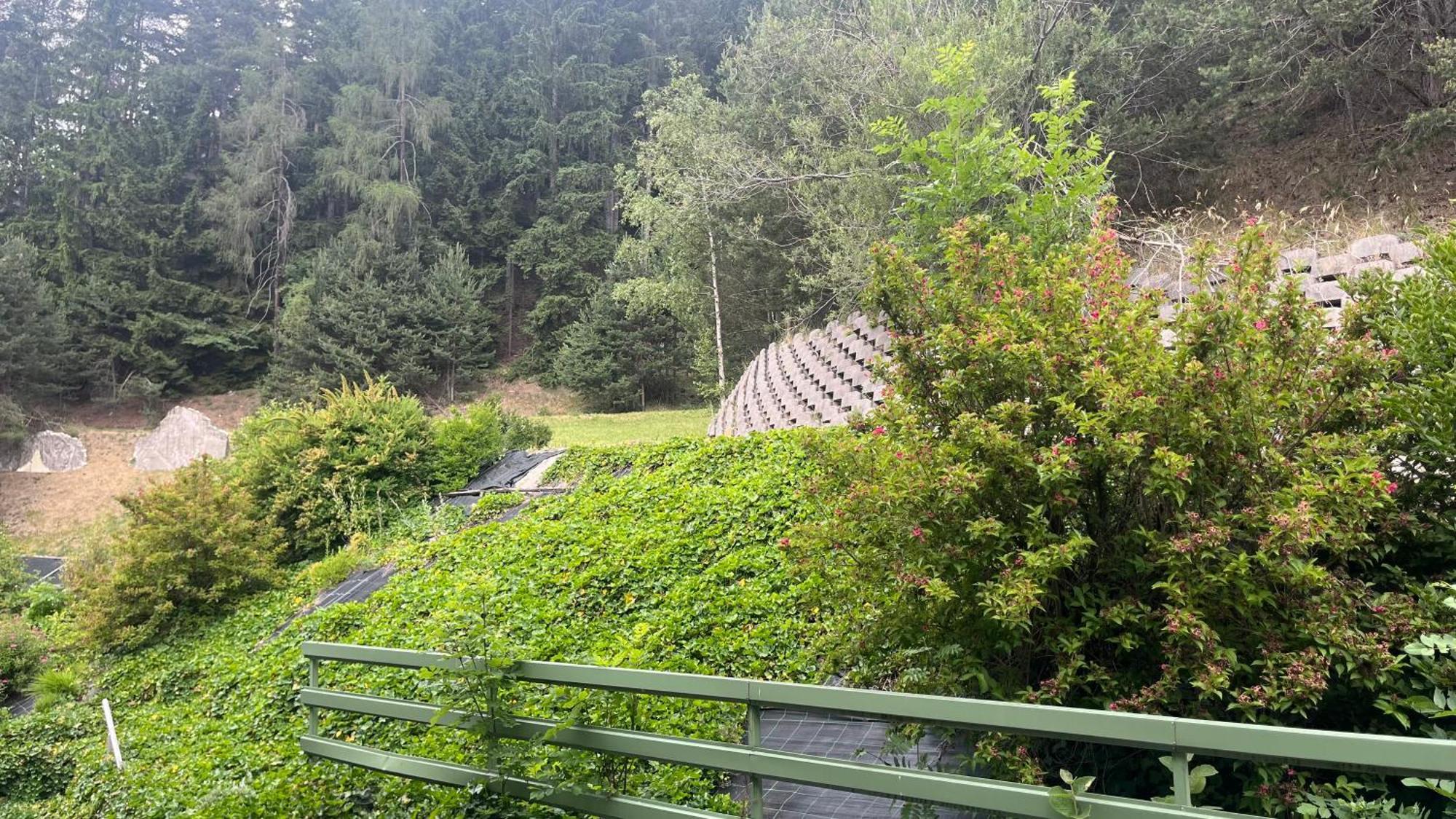 Hotel Saxl Campo di Trens Bagian luar foto